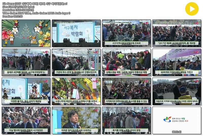 [2017 서구톡톡 96회] 제8회 서구 복지박람회 사진